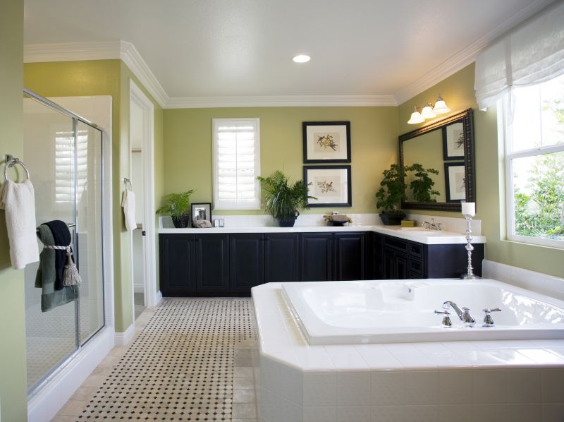 Renovated Bathtub Area